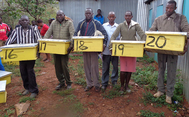 Baringo Bee Keeping