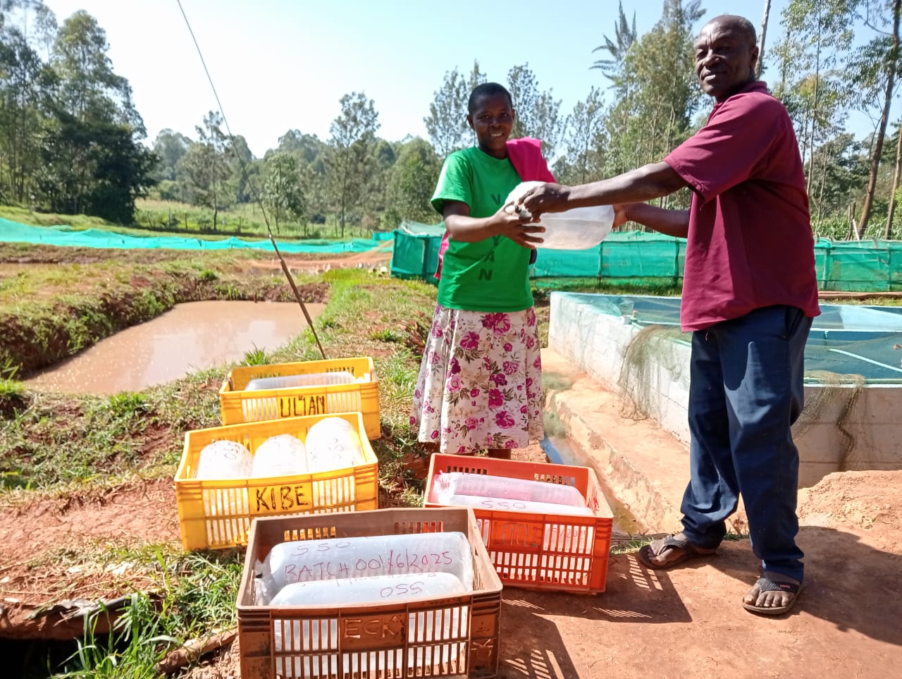 Integrated Rural Development