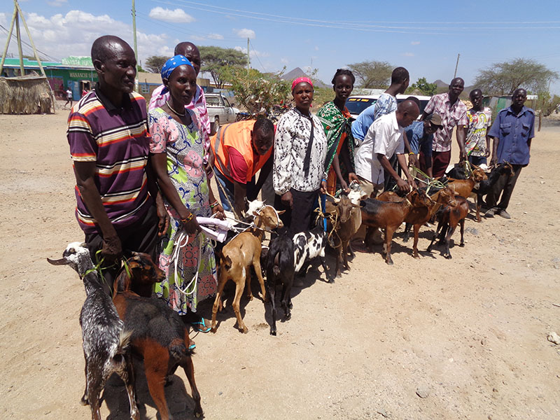 Turkana drought recovery