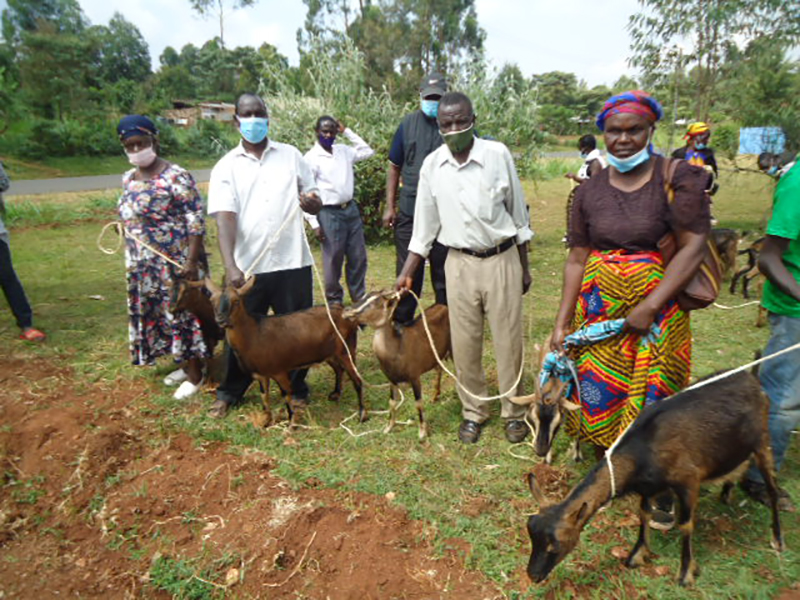 Western kenya dairy goat project